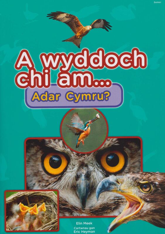 Llun o 'Cyfres a Wyddoch chi: A Wyddoch Chi am Adar Cymru?' gan 